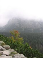 obrázok 24 z Projekt Učíme sa pre život