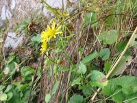 obrázok 46 z Projekt Učíme sa pre život