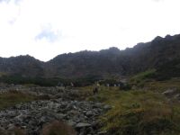 obrázok 48 z Projekt Učíme sa pre život