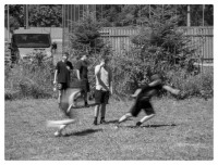 obrázok 40 z MDD na GJAR